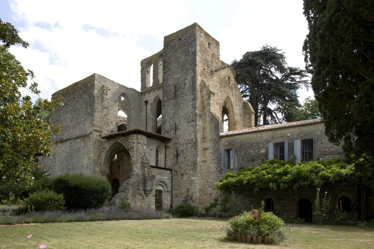 Abbaye De Villelongue Saint-Martin-le-Vieil Dış mekan fotoğraf